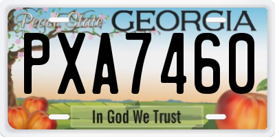 GA license plate PXA7460