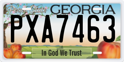 GA license plate PXA7463