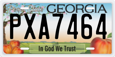 GA license plate PXA7464