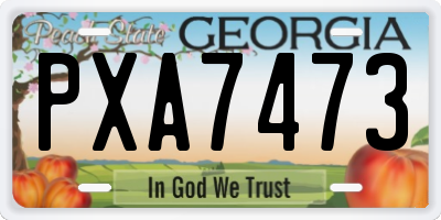 GA license plate PXA7473