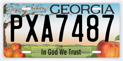 GA license plate PXA7487