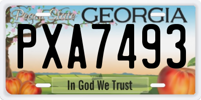 GA license plate PXA7493