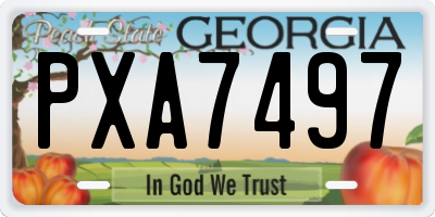 GA license plate PXA7497