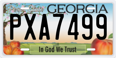 GA license plate PXA7499