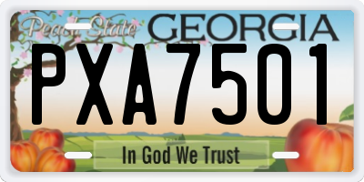 GA license plate PXA7501