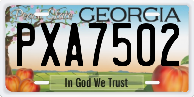 GA license plate PXA7502