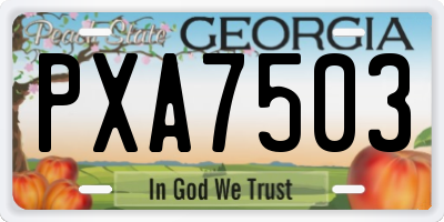 GA license plate PXA7503