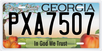 GA license plate PXA7507