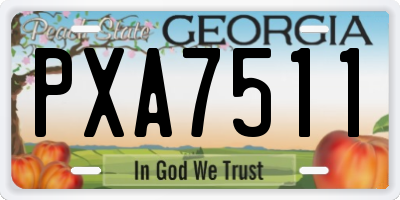 GA license plate PXA7511