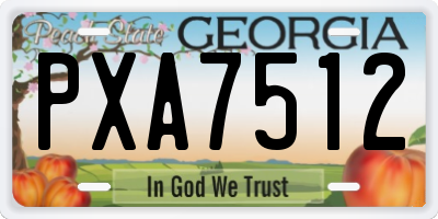 GA license plate PXA7512