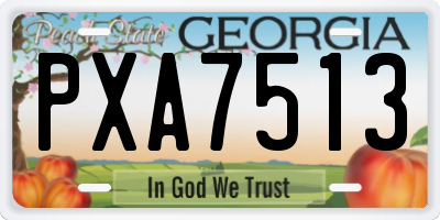 GA license plate PXA7513