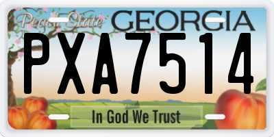 GA license plate PXA7514