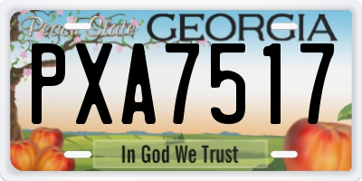 GA license plate PXA7517