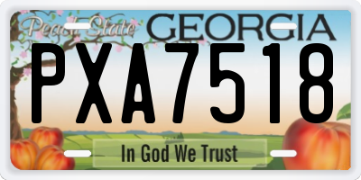 GA license plate PXA7518