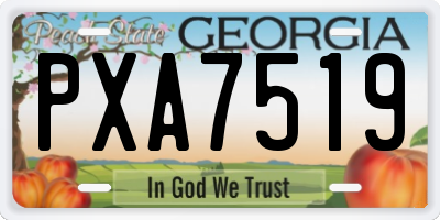GA license plate PXA7519
