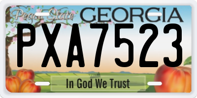 GA license plate PXA7523