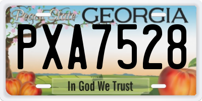 GA license plate PXA7528