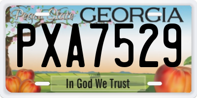 GA license plate PXA7529