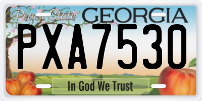 GA license plate PXA7530