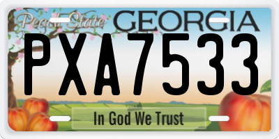 GA license plate PXA7533