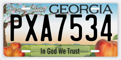 GA license plate PXA7534