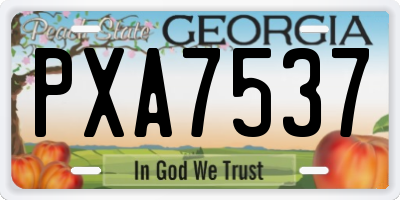 GA license plate PXA7537