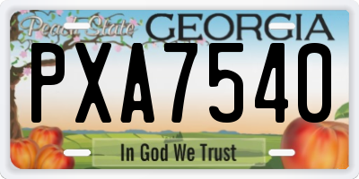 GA license plate PXA7540