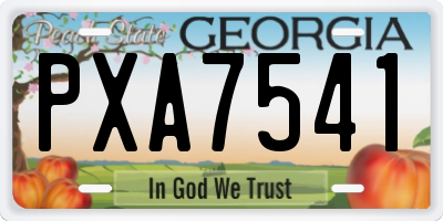 GA license plate PXA7541