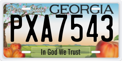 GA license plate PXA7543