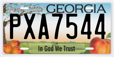 GA license plate PXA7544