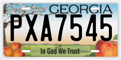 GA license plate PXA7545