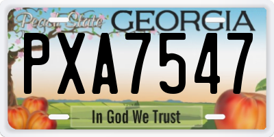 GA license plate PXA7547