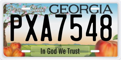 GA license plate PXA7548