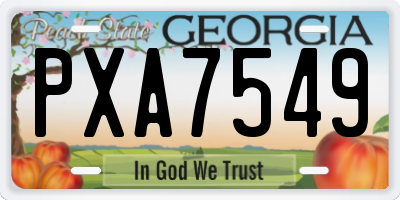 GA license plate PXA7549