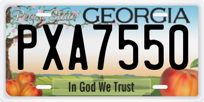 GA license plate PXA7550