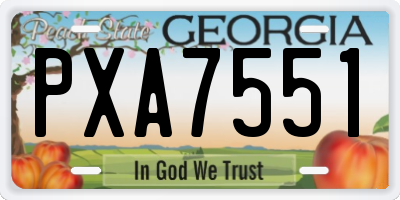 GA license plate PXA7551