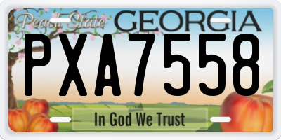 GA license plate PXA7558