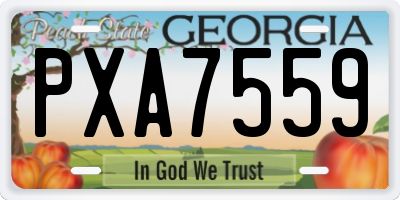 GA license plate PXA7559