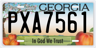 GA license plate PXA7561