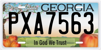 GA license plate PXA7563