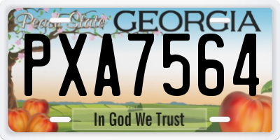 GA license plate PXA7564
