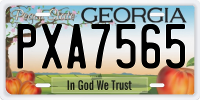 GA license plate PXA7565