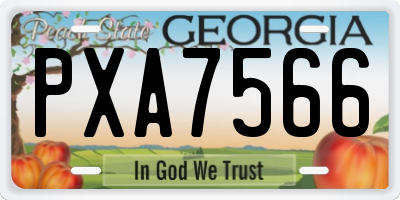 GA license plate PXA7566