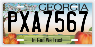 GA license plate PXA7567
