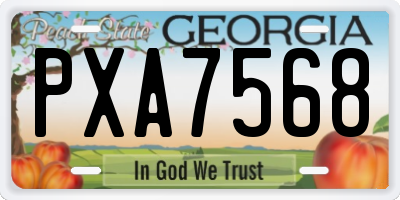 GA license plate PXA7568
