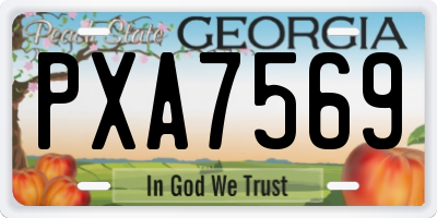 GA license plate PXA7569