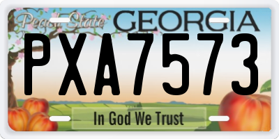 GA license plate PXA7573