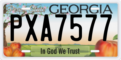 GA license plate PXA7577