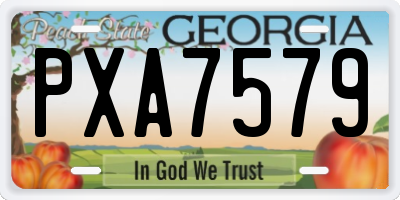 GA license plate PXA7579
