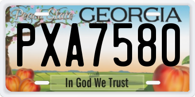 GA license plate PXA7580